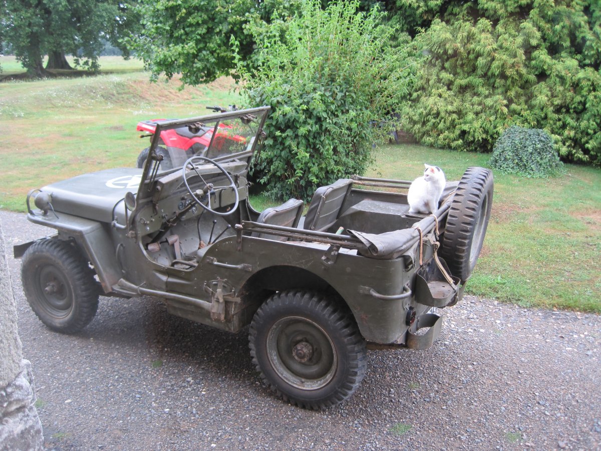 La Jeep et un passager