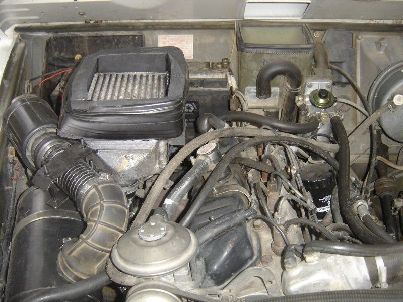 p4112010.jpg