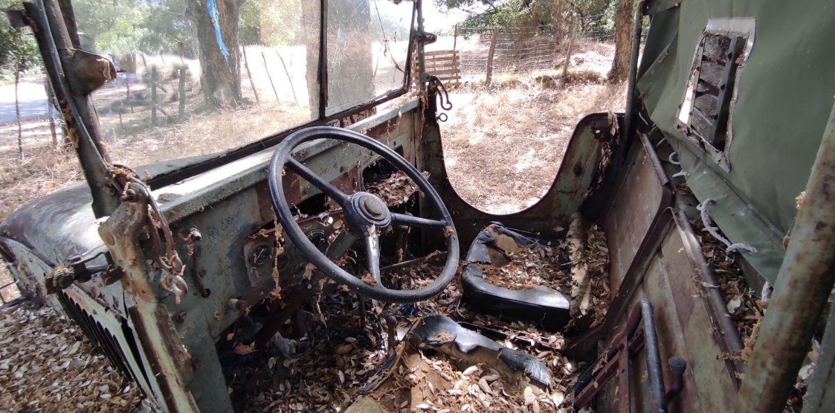 GMC int1000.jpg