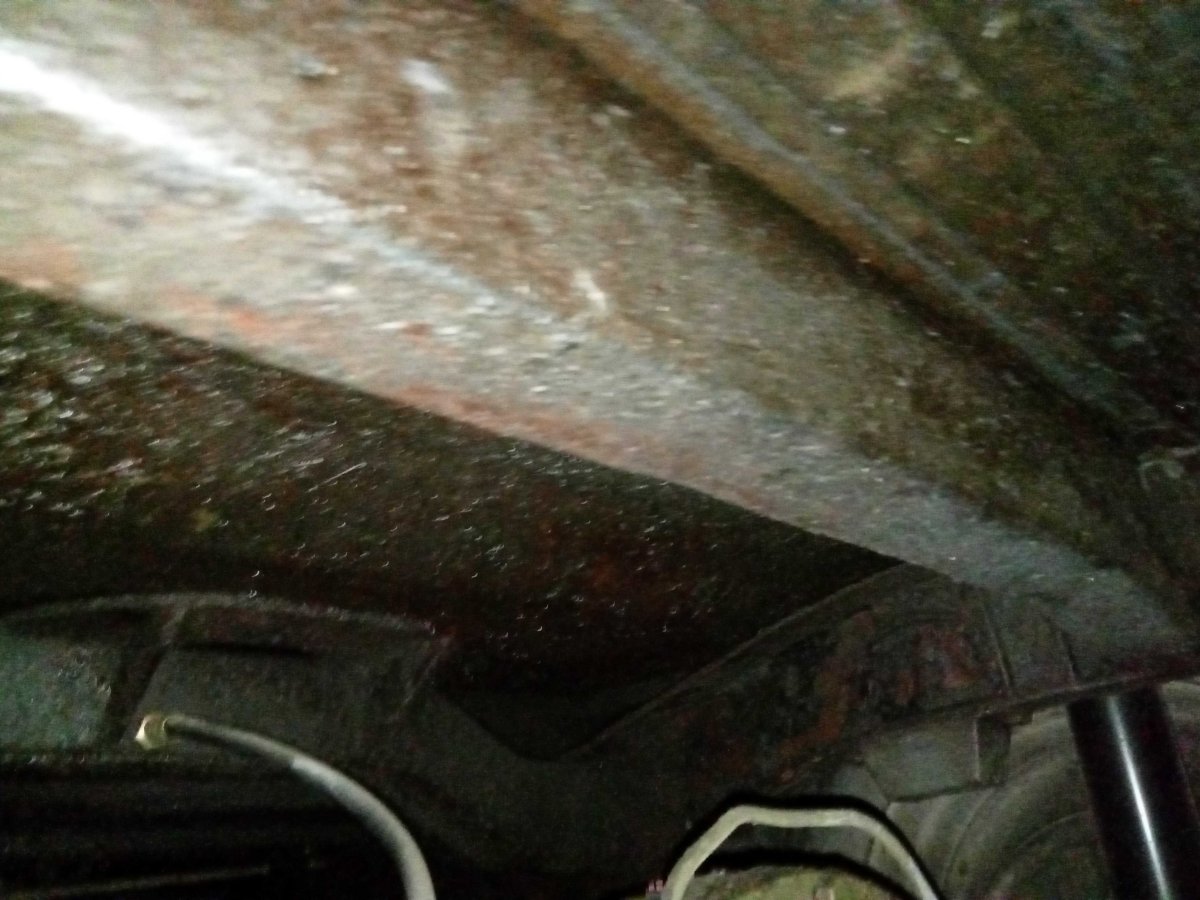 rear right inside 2.jpg