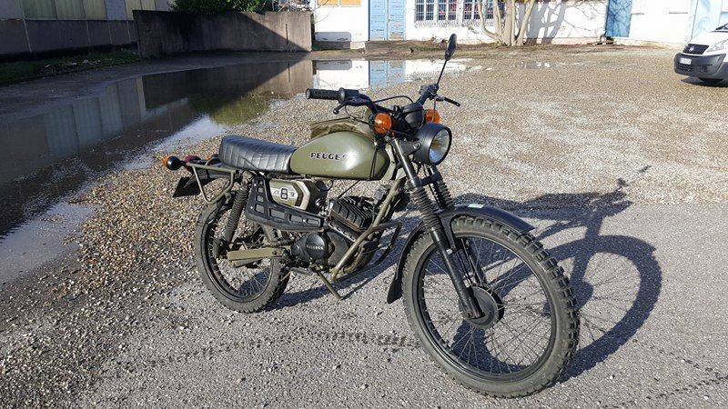 SX8