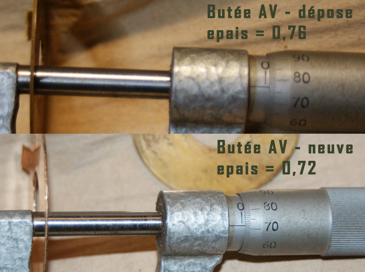 buteeAV-mesure.jpg