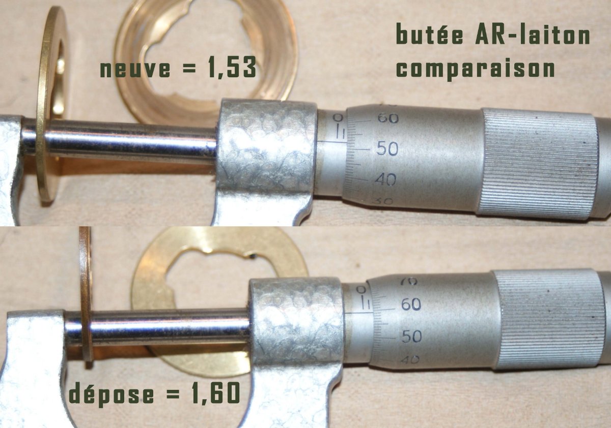 BV-buteeAR laiton.jpg