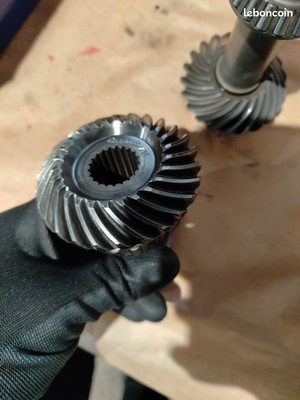 pignon BT dangel.jpg