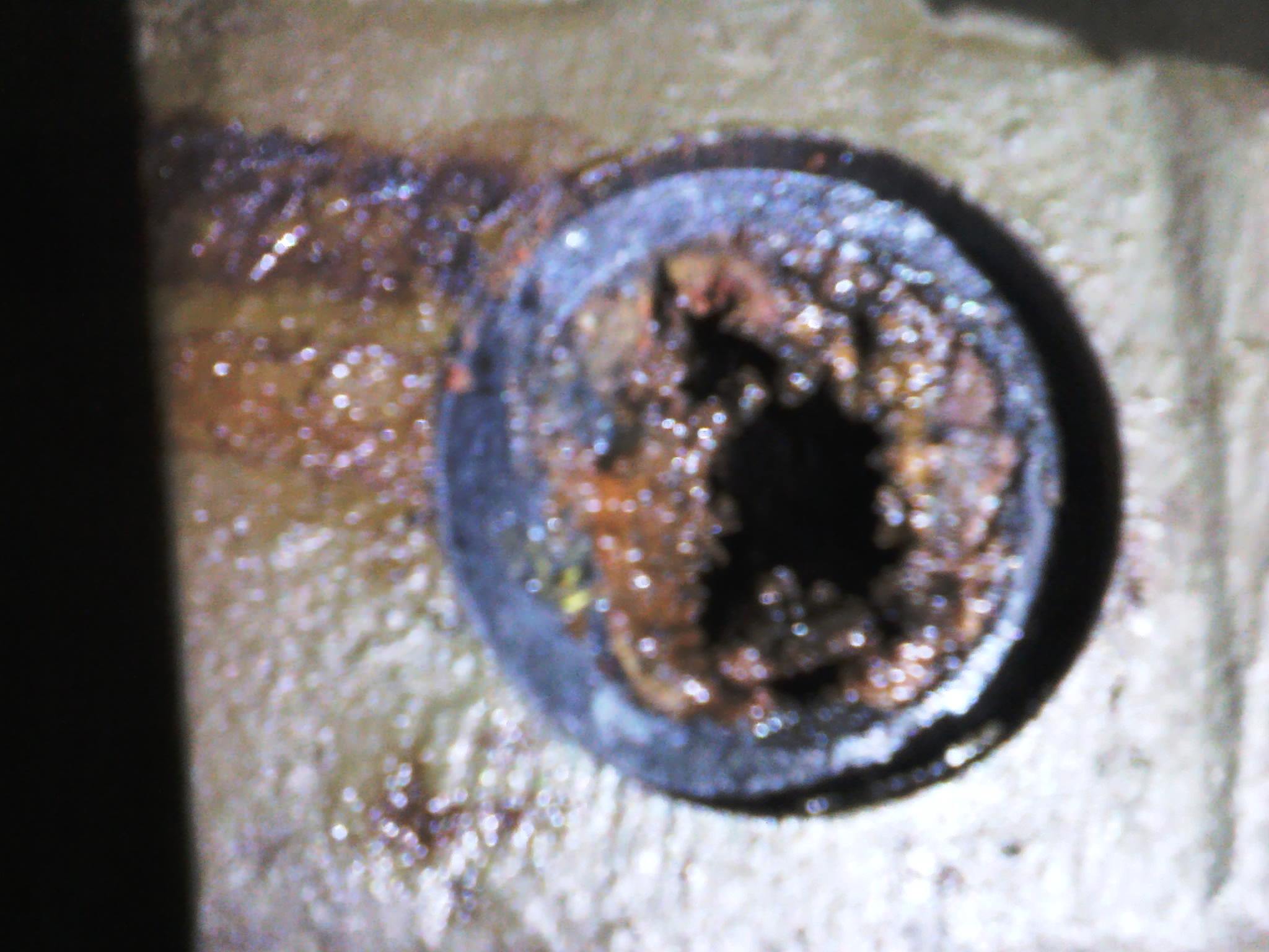 IMG00272.jpg