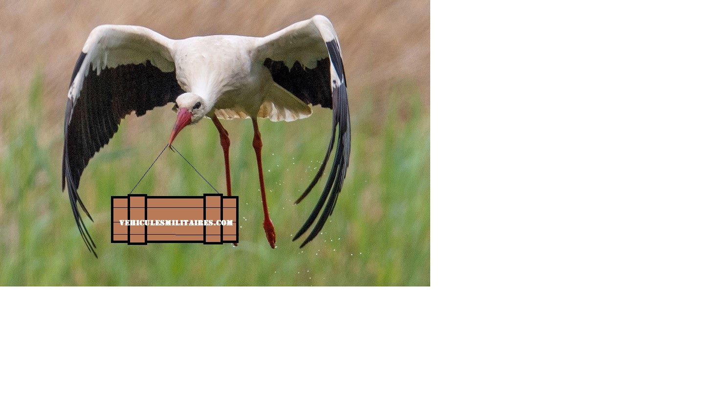 kll.jpg