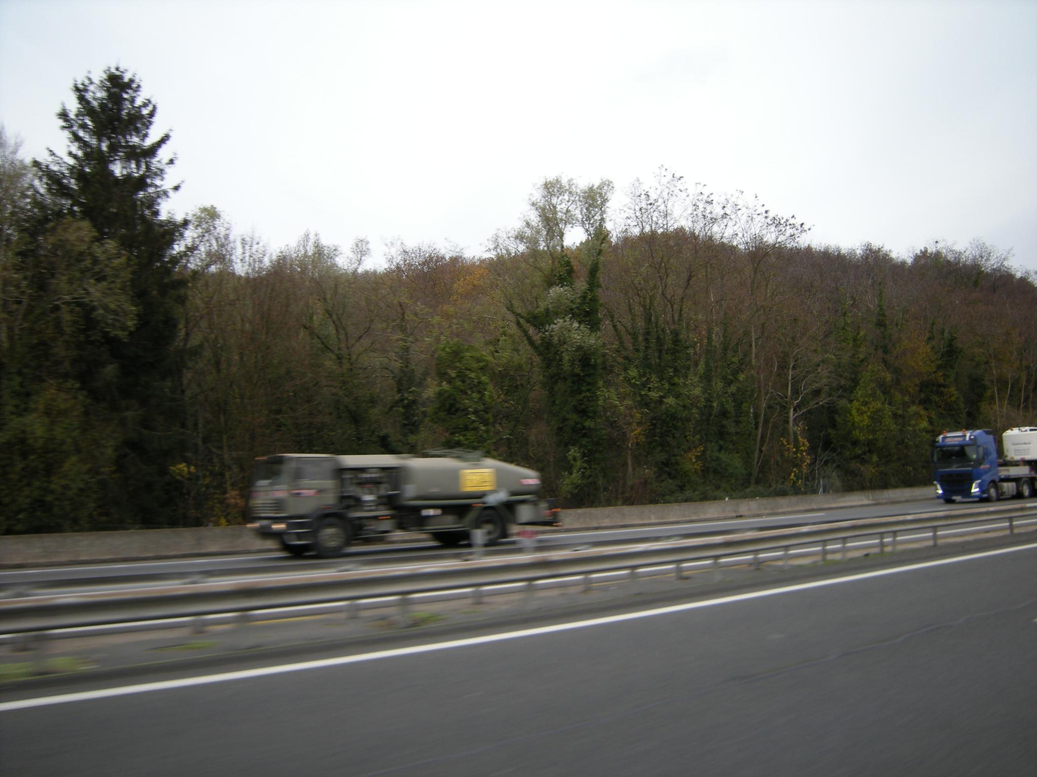 DSCN9394.JPG
