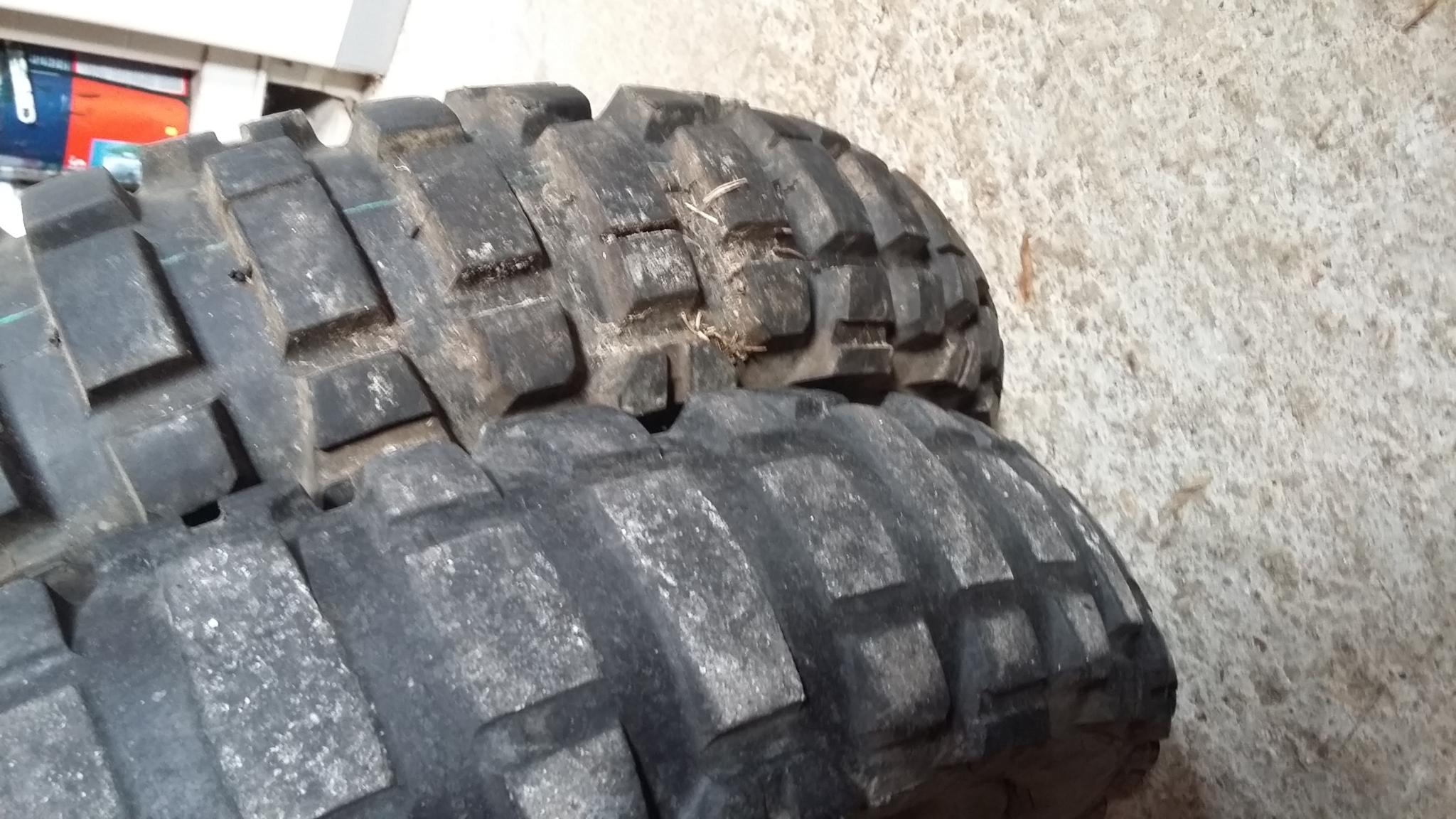 20190319_101446.jpg