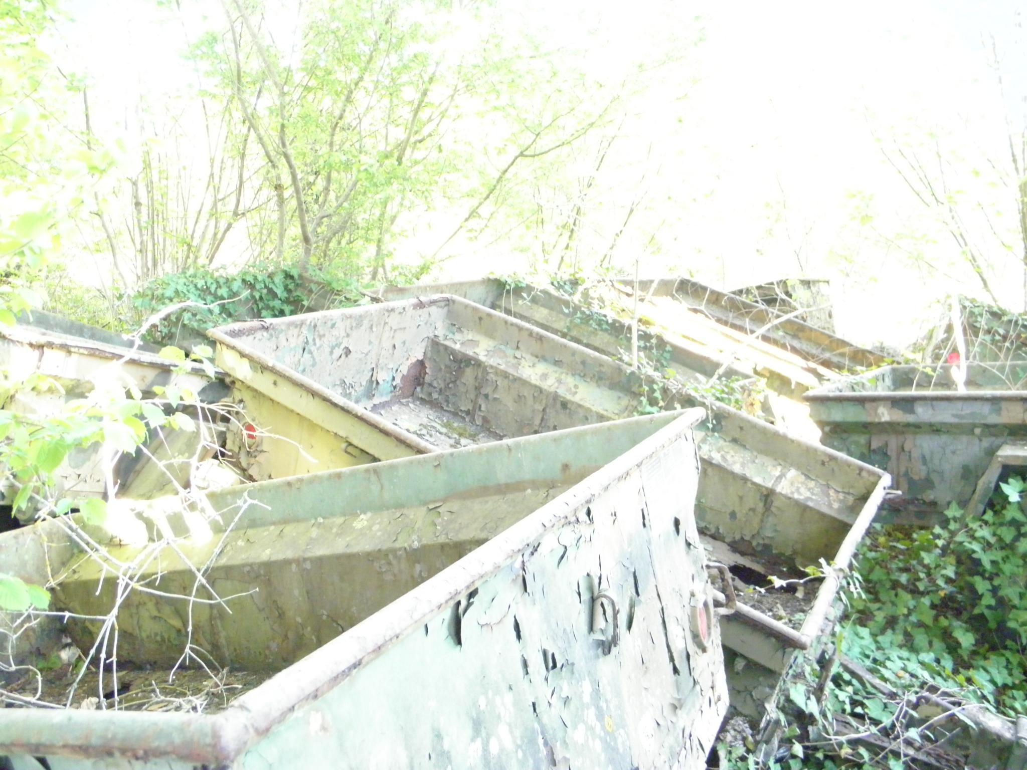 P4180009.JPG