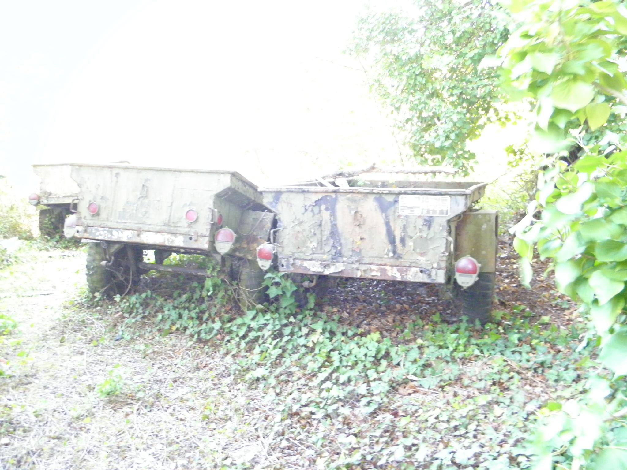 P4180010.JPG