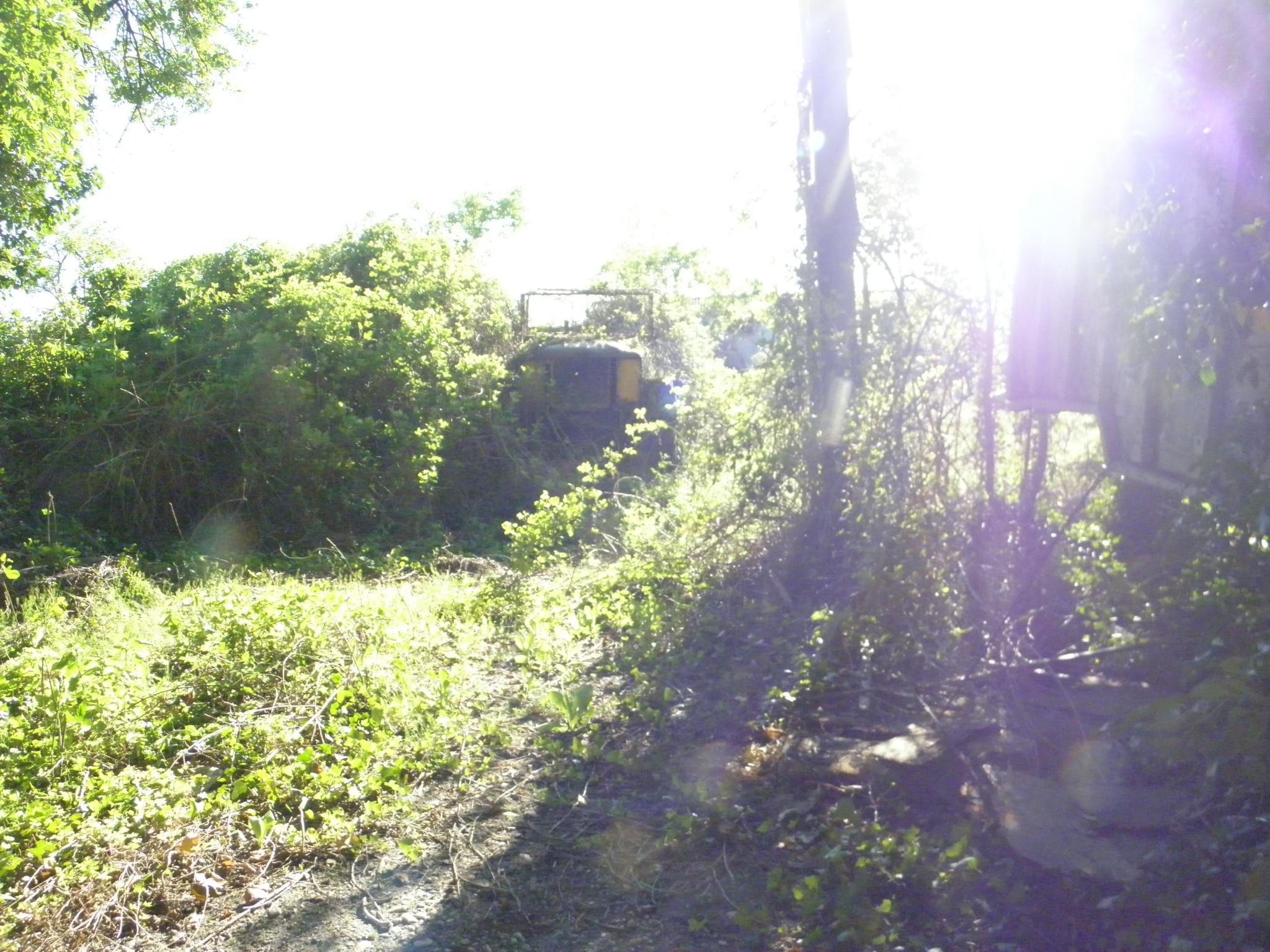 P4180015.JPG